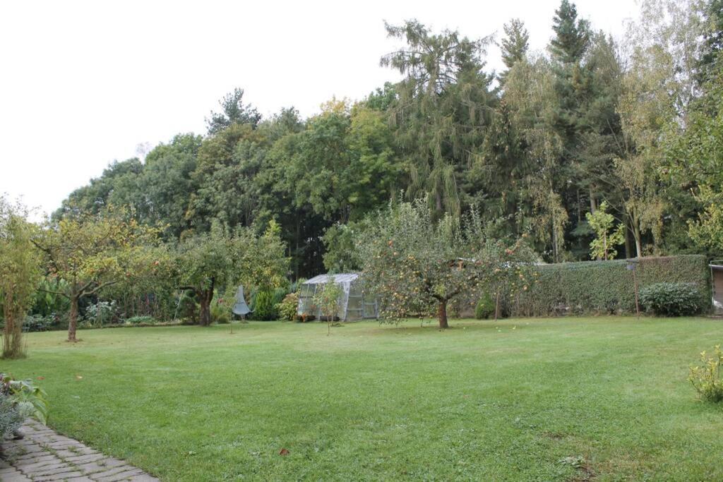 Krasny Apartman V Brane Luzickych Hor Cvikov Exterior photo