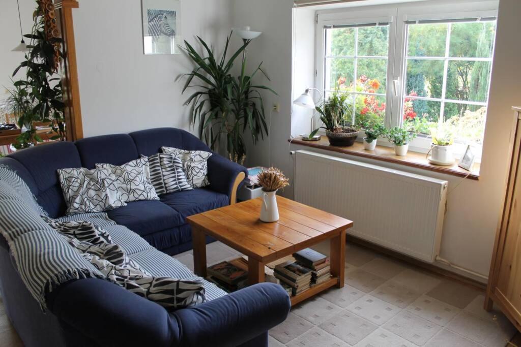 Krasny Apartman V Brane Luzickych Hor Cvikov Exterior photo