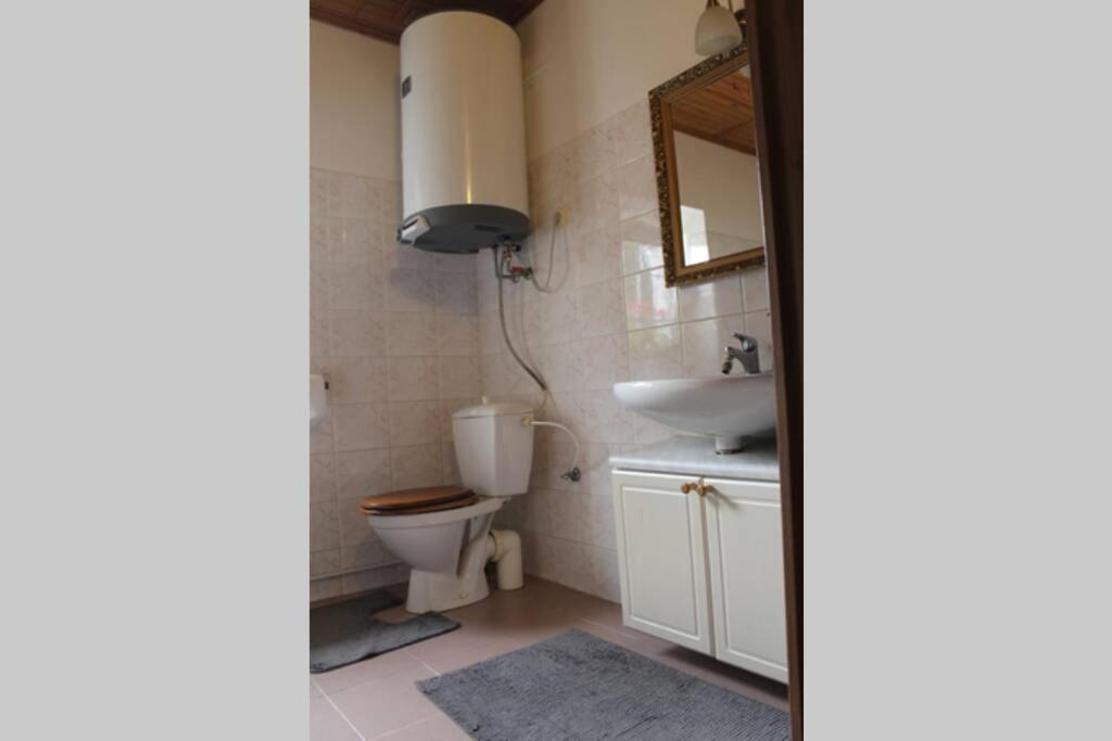 Krasny Apartman V Brane Luzickych Hor Cvikov Exterior photo