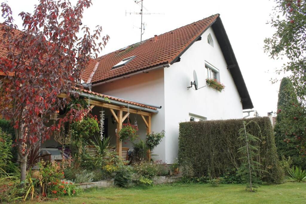 Krasny Apartman V Brane Luzickych Hor Cvikov Exterior photo