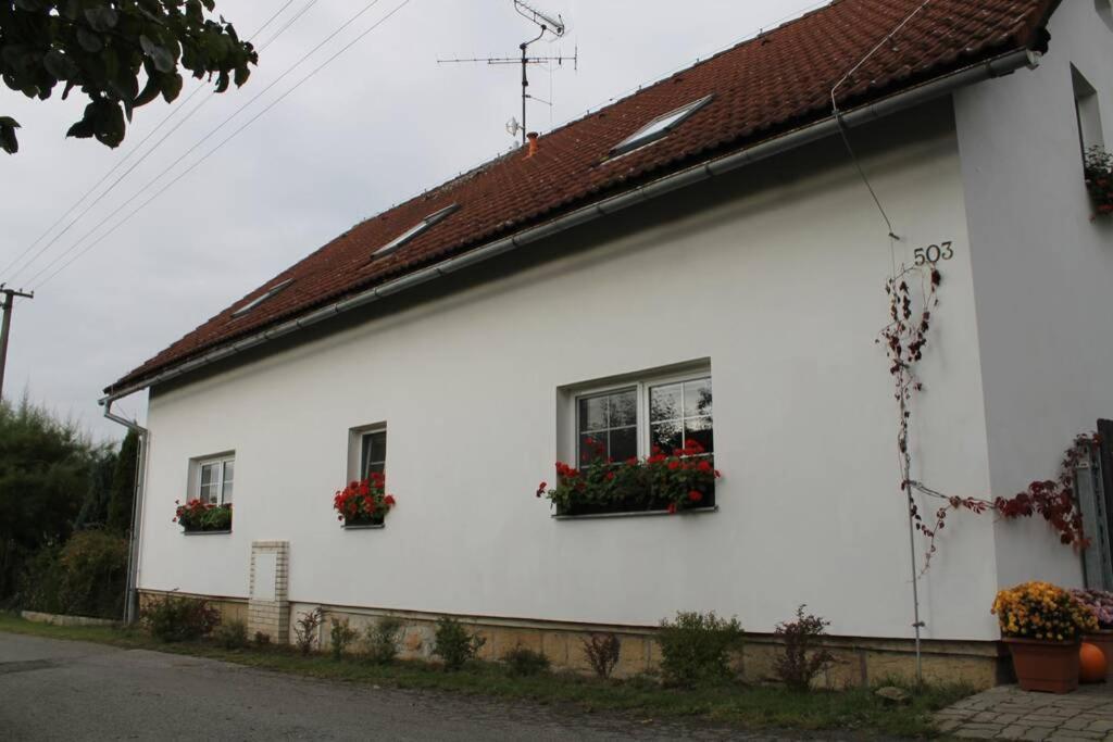Krasny Apartman V Brane Luzickych Hor Cvikov Exterior photo
