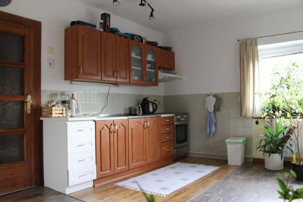 Krasny Apartman V Brane Luzickych Hor Cvikov Exterior photo