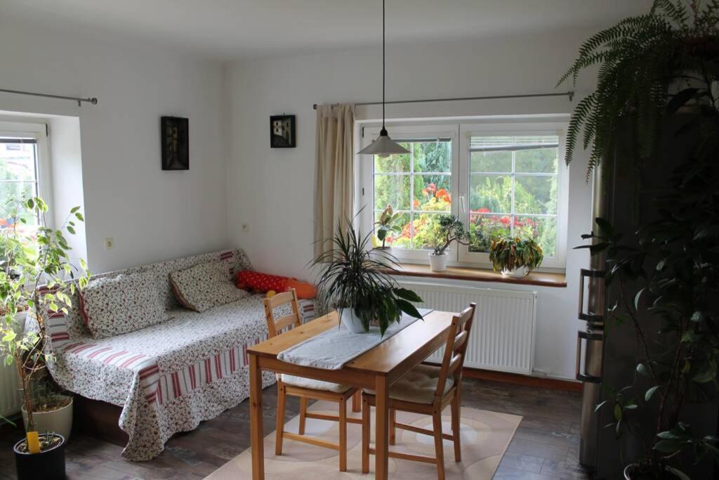 Krasny Apartman V Brane Luzickych Hor Cvikov Exterior photo