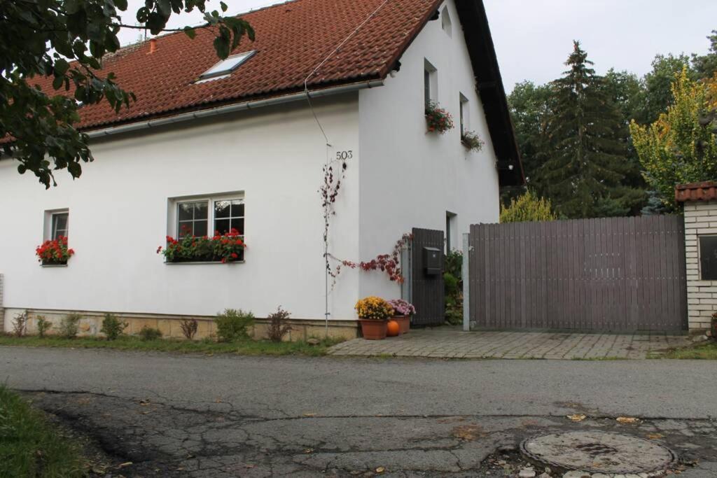 Krasny Apartman V Brane Luzickych Hor Cvikov Exterior photo