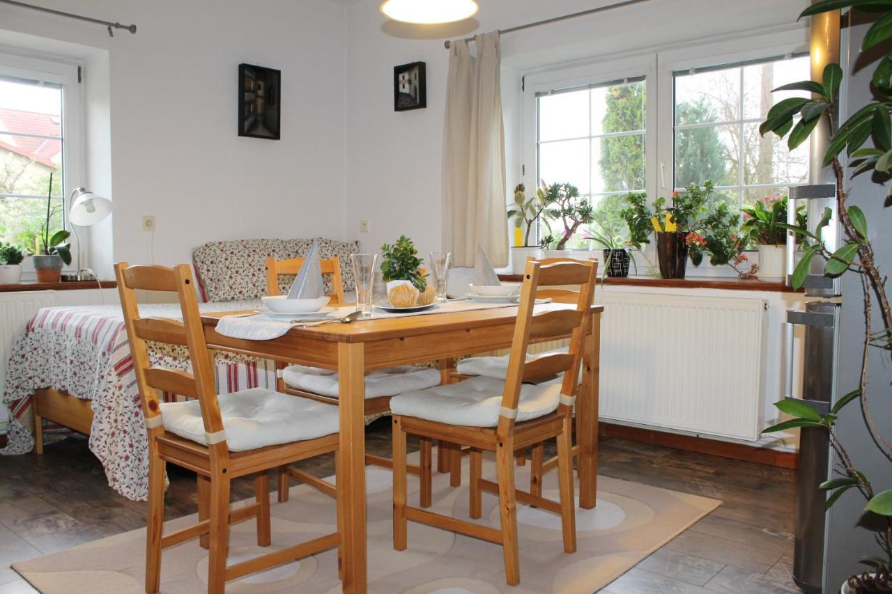 Krasny Apartman V Brane Luzickych Hor Cvikov Exterior photo