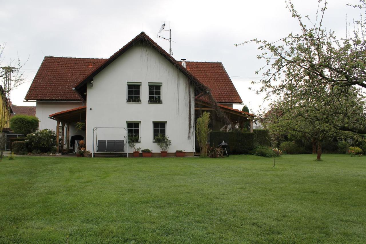 Krasny Apartman V Brane Luzickych Hor Cvikov Exterior photo