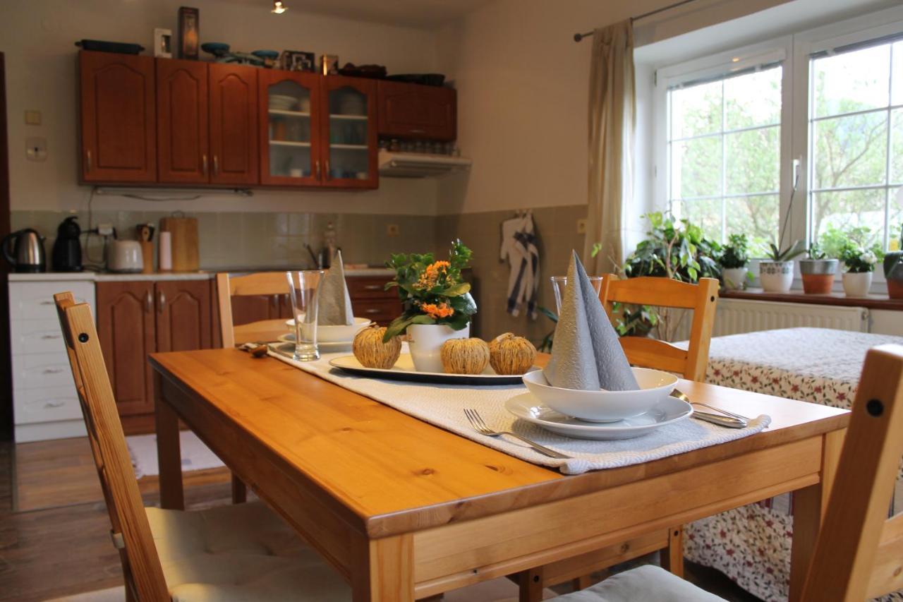 Krasny Apartman V Brane Luzickych Hor Cvikov Exterior photo