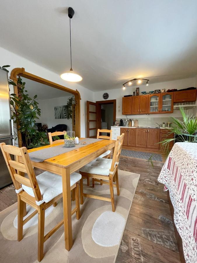 Krasny Apartman V Brane Luzickych Hor Cvikov Exterior photo