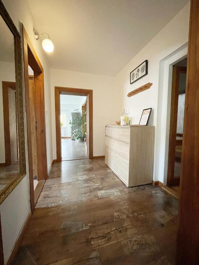 Krasny Apartman V Brane Luzickych Hor Cvikov Exterior photo
